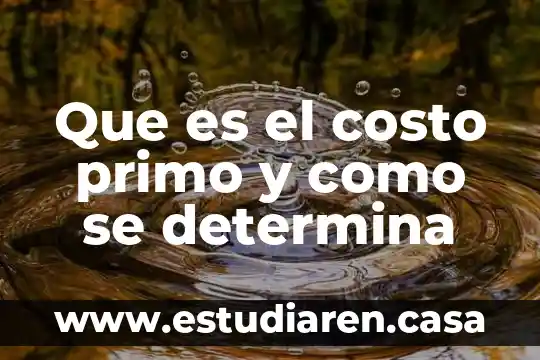 Que es el costo primo y como se determina