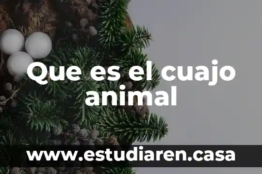 Que es el cuajo animal