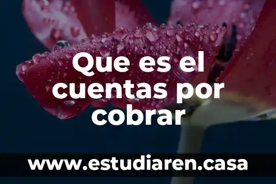 Que es el cuentas por cobrar