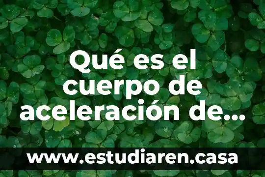 Qué es el cuerpo de aceleración de la camioneta Duster