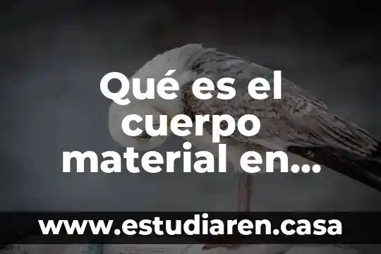 Qué es in material aislante 3 Qué es el cuerpo material en química