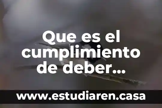 Que es el deber ser de Pestalozzi 3 Que es el cumplimiento de deber derecho penal