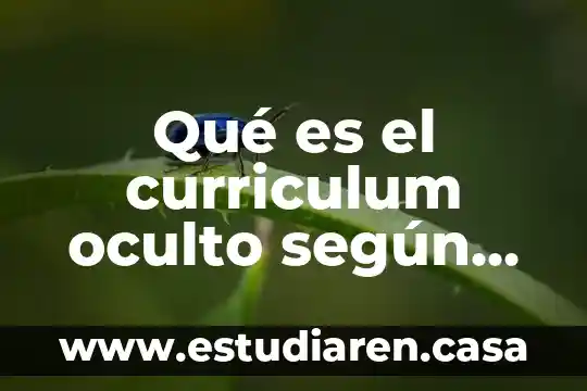 Qué es el curriculum oculto según autores