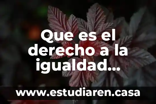 Que es el derecho a la igualdad humana