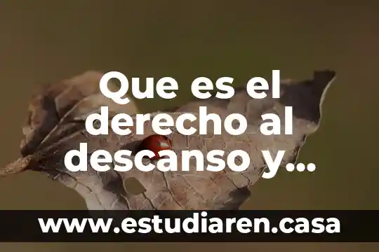 Que es el derecho al descanso y recreacionbrainly
