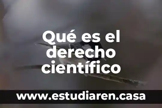 Que es el formato cientifico 7 Qué es el derecho científico