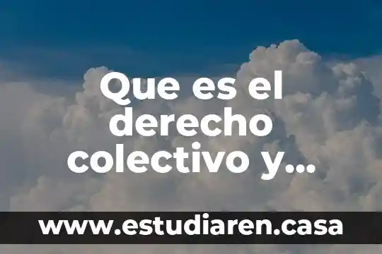 Que es el derecho colectivo y procesal del trabajo