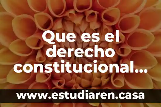 Que es el derecho constitucional clasico