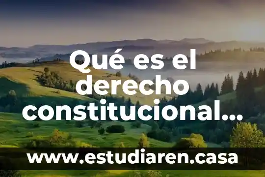 Que es tener un amigo con derecho 5 Qué es el derecho constitucional omeba