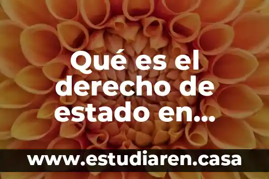 Que es estado financiero segun autores 5 Qué es el derecho de estado en México