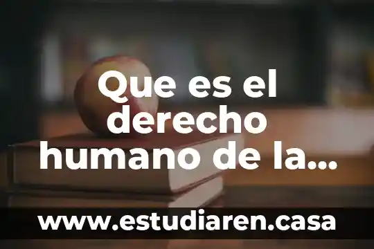 Que es equilibrio humano 3 Que es el derecho humano de la paz