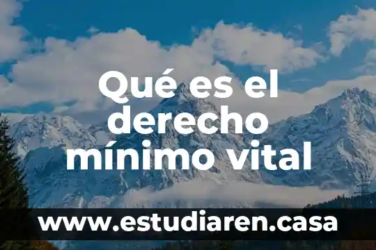 Que es la teoria de la fuerza vital 8 Qué es el derecho mínimo vital