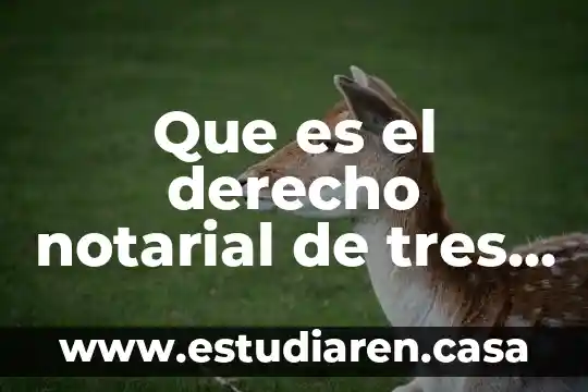 Que es el derecho notarial de tres actores