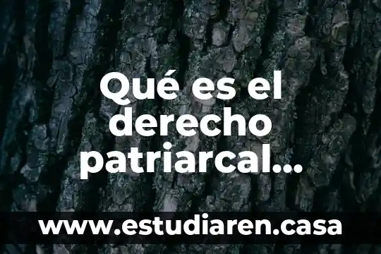 Que es apeo y deslinde en derecho 5 Qué es el derecho patriarcal bíblicamente