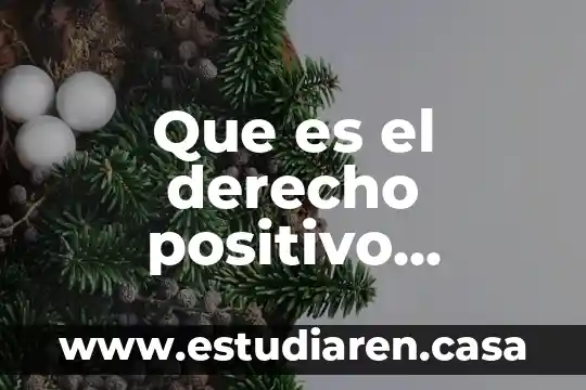 Que es el enriquecimiento ilicito en derecho fiscal 4 Que es el derecho positivo ejemplos de la constitución mexicana