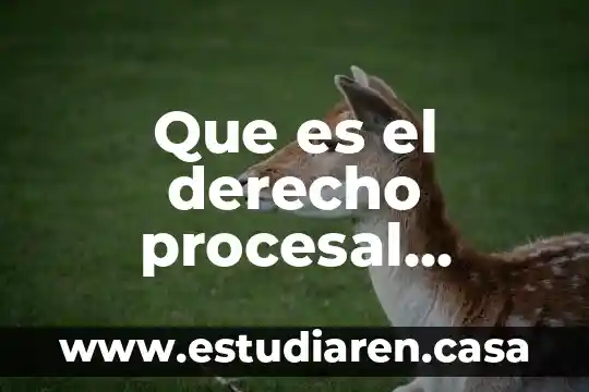 Que es el derecho procesal mercantil mexicano carbonell