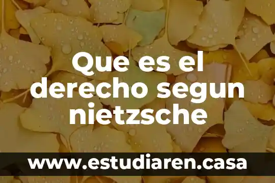 La ingle femenina que es 7 Que es el derecho segun nietzsche