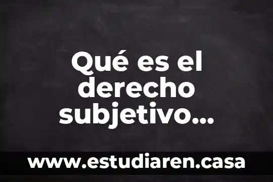 Qué es el derecho subjetivo público en México