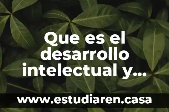 Que es un registro de propiedad intelectual impi 3 Que es el desarrollo intelectual y desarrollo material