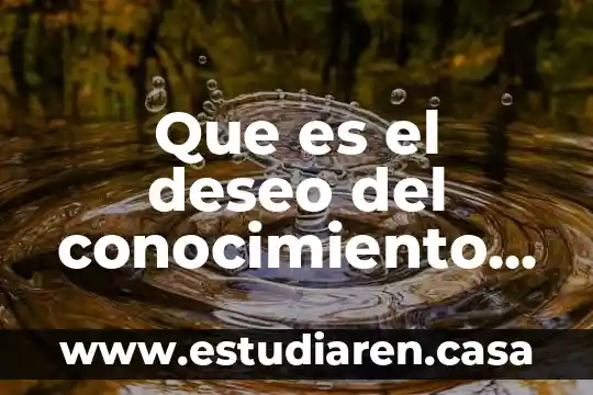 ¿Qué es el tipo de conocimiento filosófico y sus características? 6 Que es el deseo del conocimiento en la ilustracion