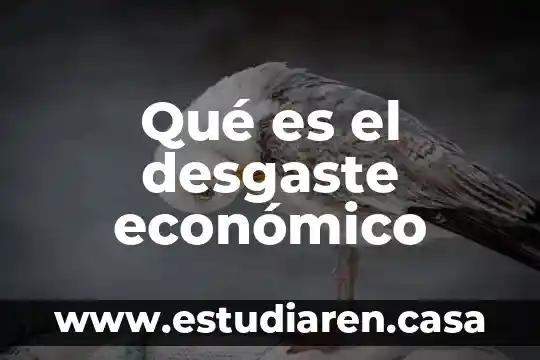Qué es el desgaste económico 3 Qué es el desgaste económico