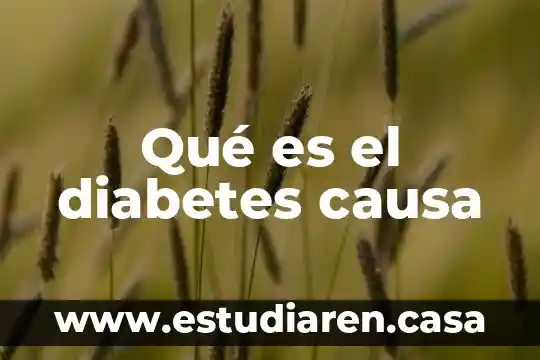 Qué es el diabetes causa
