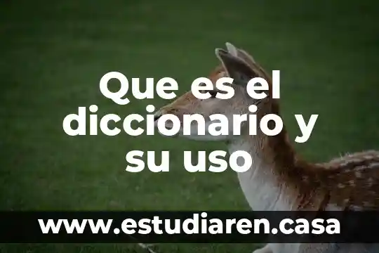 Que es zempoala diccionario 8 Que es el diccionario y su uso