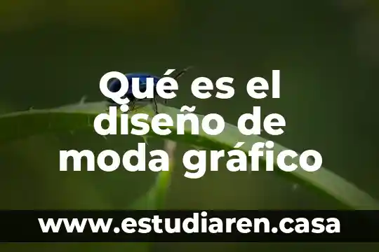 Qué es el diseño de moda gráfico
