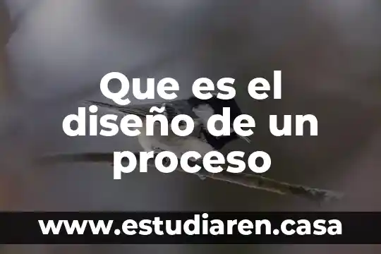 Que es el proceso calsico de la organizacion 7 Que es el diseño de un proceso