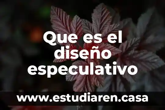 Que es el diseño especulativo
