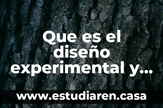 Diseño aplicativo web que es 7 Que es el diseño experimental y en que consiste
