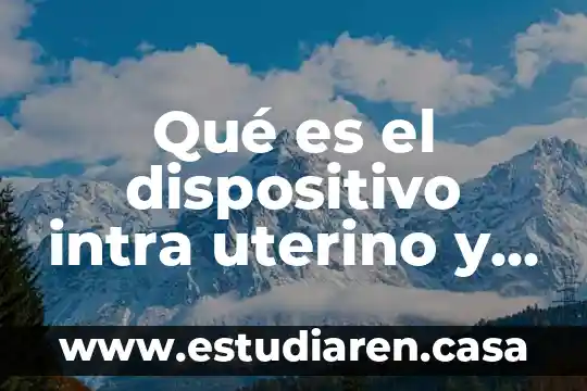 Qué es un dispositivo central ejemplos 8 Qué es el dispositivo intra uterino y para qué sirve