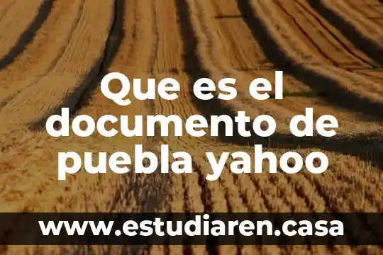Grupo Butser Puebla 5 Que es el documento de puebla yahoo