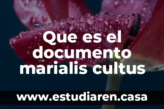 Que es el documento marialis cultus