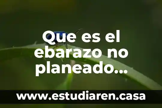 Que es el ebarazo no planeado opinion de una psicóloga