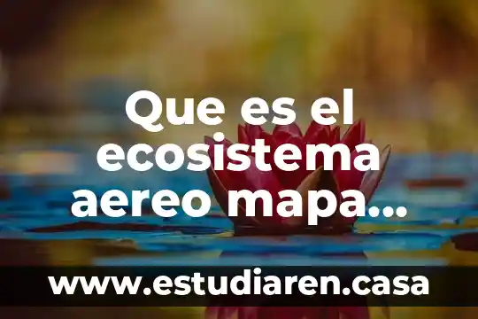 Que es el ecosistema aereo mapa mental
