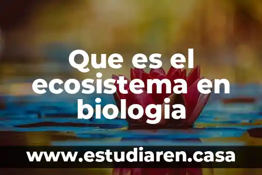 Que es el ecosistema en biologia