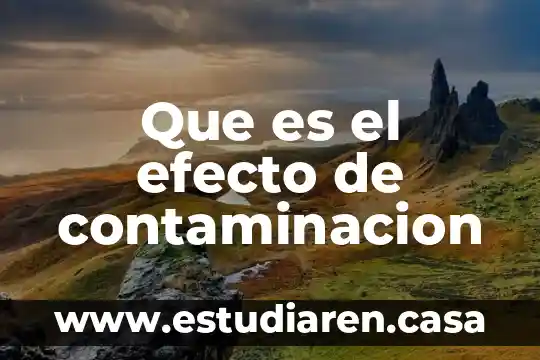 Que es el efecto de contaminacion