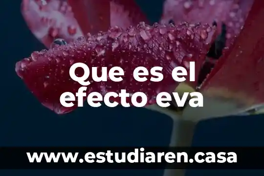 Que es el efecto eva
