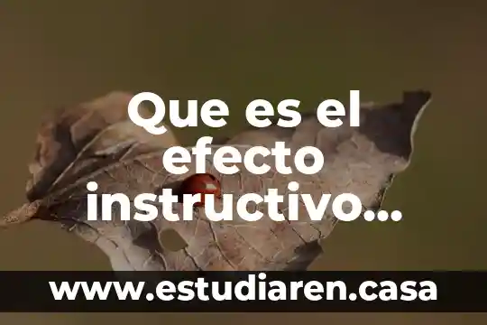 Efecto satinado que es 3 Que es el efecto instructivo directo