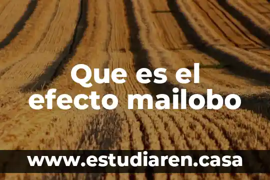 Efecto gorila que es 7 Que es el efecto mailobo