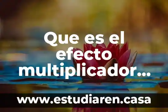 Que es el efecto multiplicador en turismo