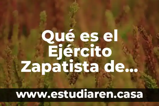 Qué es trámites en territorio nacional 6 Qué es el Ejército Zapatista de Liberación Nacional EZLN