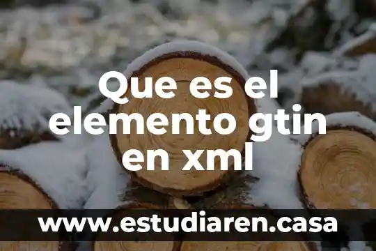 Para que es el formato XML 5 Que es el elemento gtin en xml