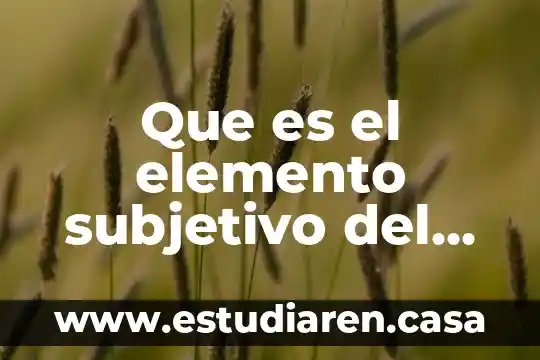 Que es el elemento subjetivo del injusto