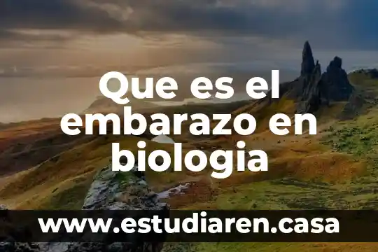 Que es molde en biologia 7 Que es el embarazo en biologia