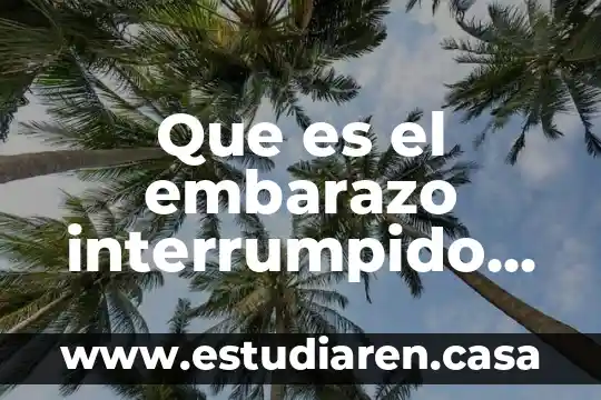 Que es el embarazo interrumpido definicion