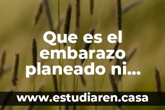 Que es el embarazo planeado ni deseado