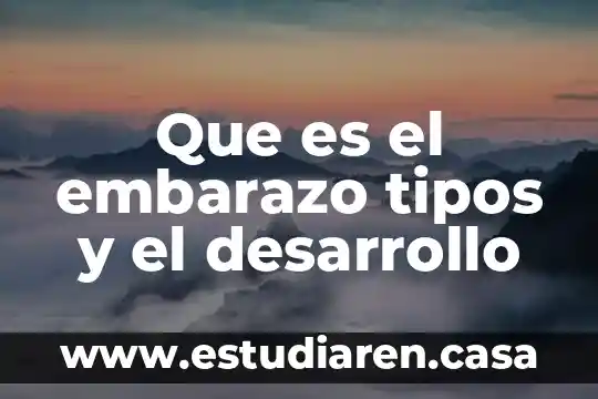 Que es el embarazo tipos y el desarrollo