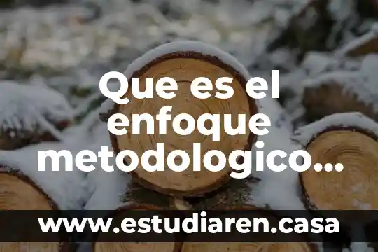 Que es y como se hace un marco metodologico 7 Que es el enfoque metodologico definicion